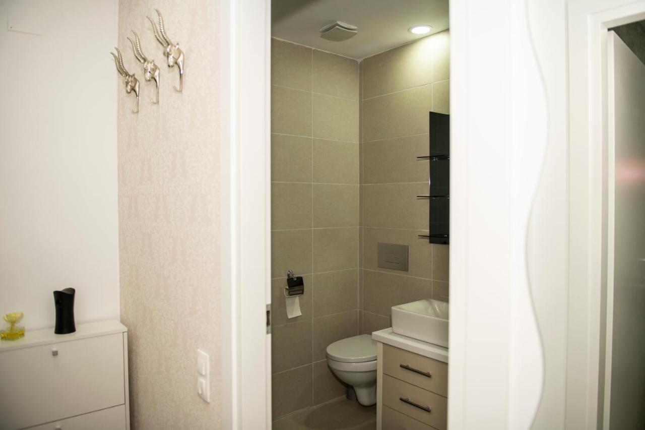Raphael Apartment North Bucharest Cosmopolis Stefanestii de Jos Esterno foto
