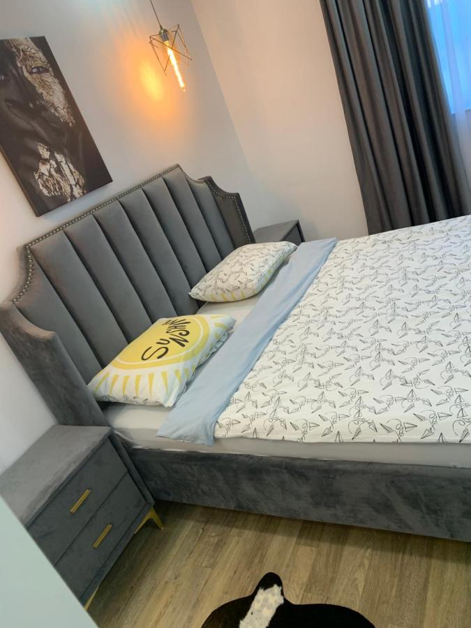Raphael Apartment North Bucharest Cosmopolis Stefanestii de Jos Esterno foto